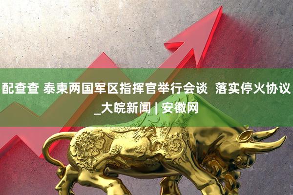 配查查 泰柬两国军区指挥官举行会谈  落实停火协议_大皖新闻 | 安徽网