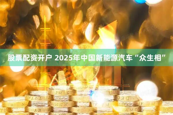 股票配资开户 2025年中国新能源汽车“众生相”