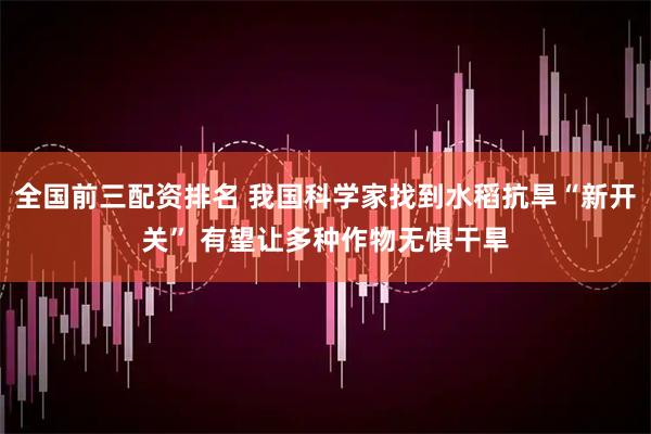 全国前三配资排名 我国科学家找到水稻抗旱“新开关” 有望让多种作物无惧干旱
